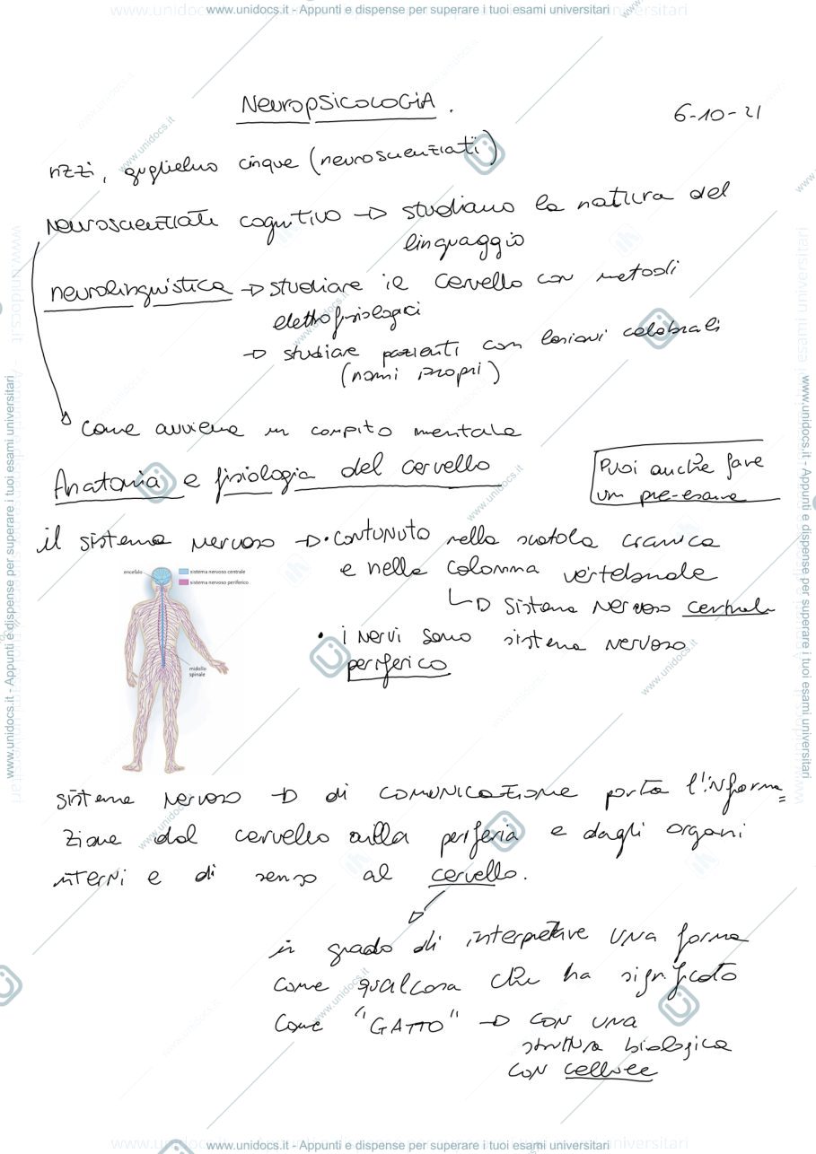 Anteprima pagina 1 — Neuropsicologia 
