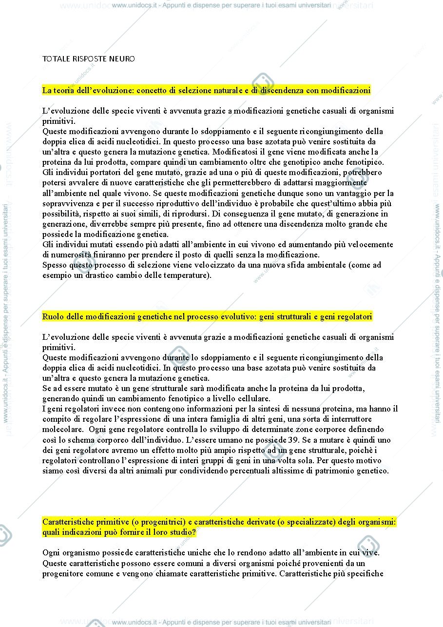 Anteprima pagina 1 — Domande e risposte esame Neuroscienze cognitive