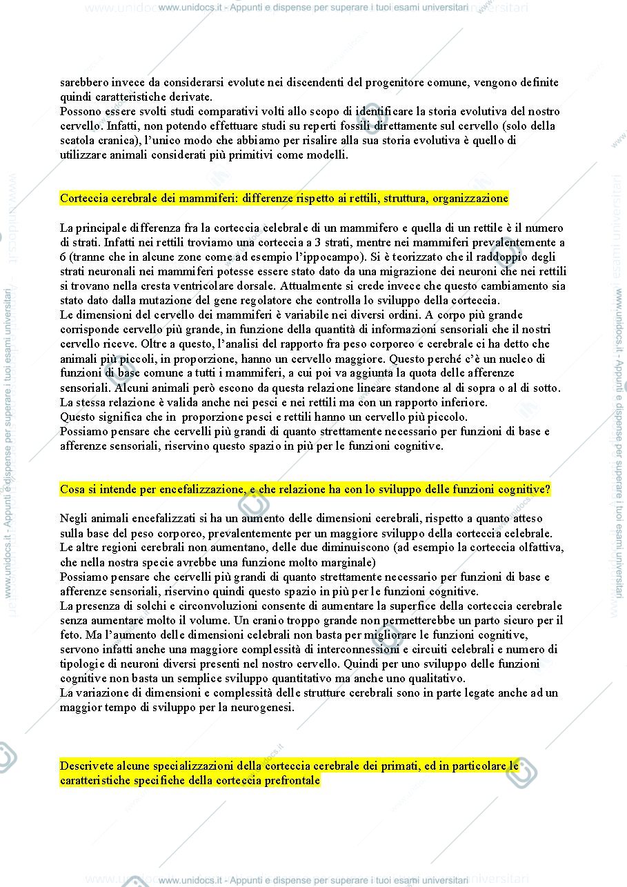 Anteprima pagina 2 — Domande e risposte esame Neuroscienze cognitive