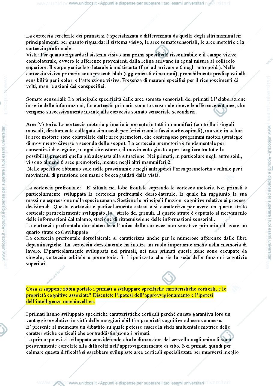 Anteprima pagina 3 — Domande e risposte esame Neuroscienze cognitive