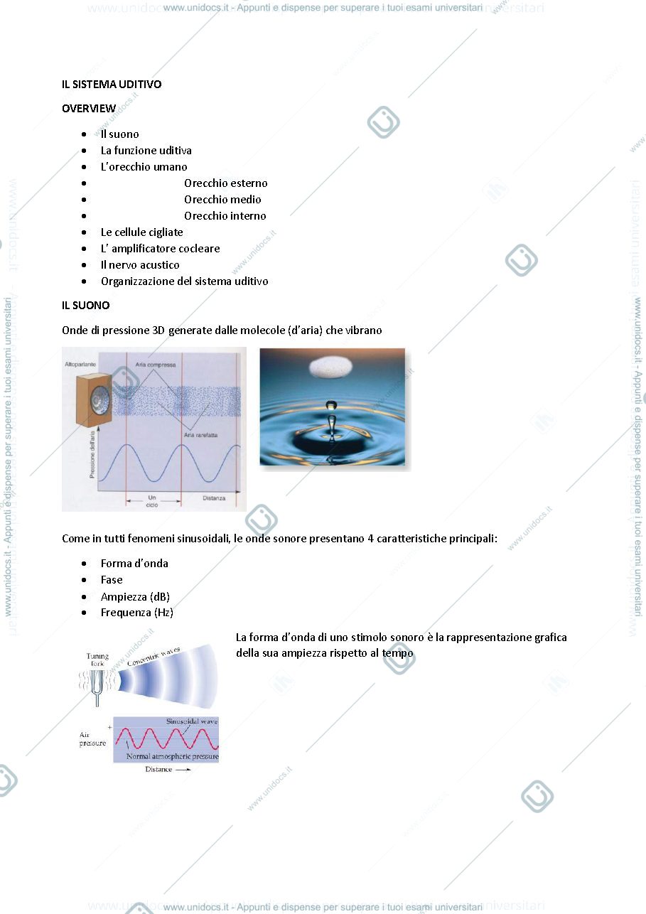 Anteprima pagina 1 — Lezioni 14-17 neuroscienze 