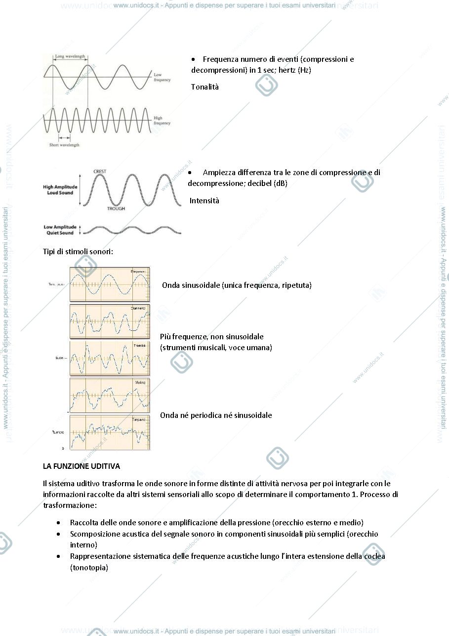 Anteprima pagina 2 — Lezioni 14-17 neuroscienze 