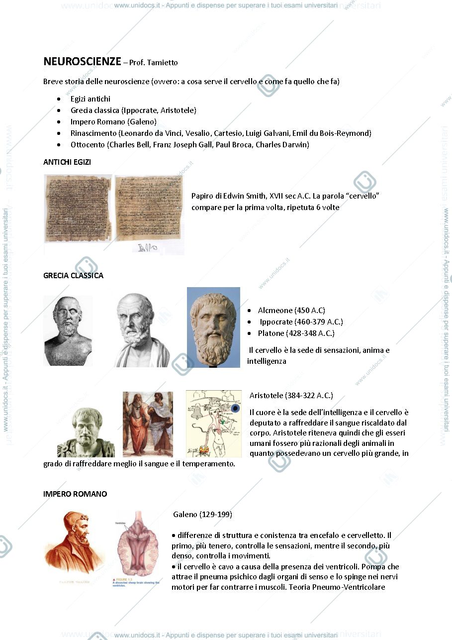 Anteprima pagina 1 — Lezioni neuroscienze da slide