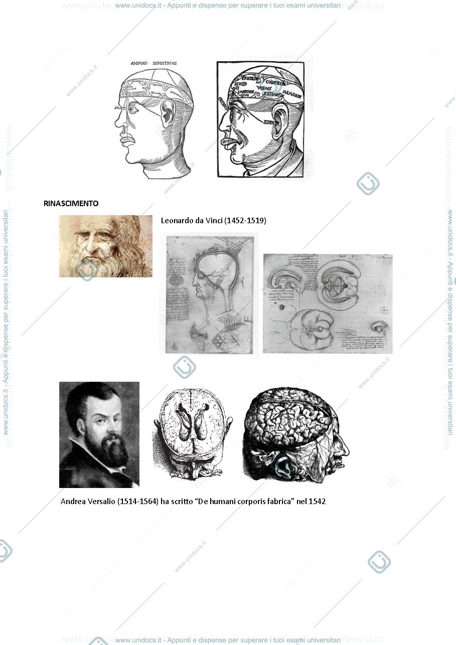Anteprima pagina 2 — Lezioni neuroscienze da slide