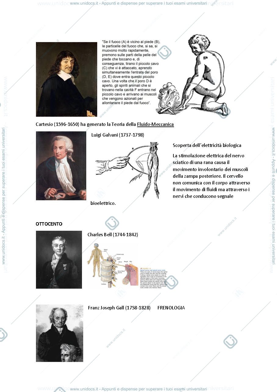 Anteprima pagina 3 — Lezioni neuroscienze da slide