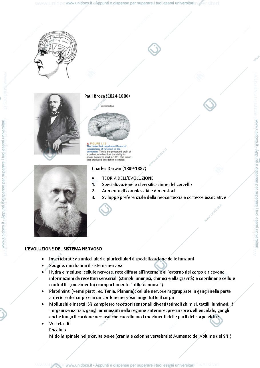 Anteprima pagina 4 — Lezioni neuroscienze da slide