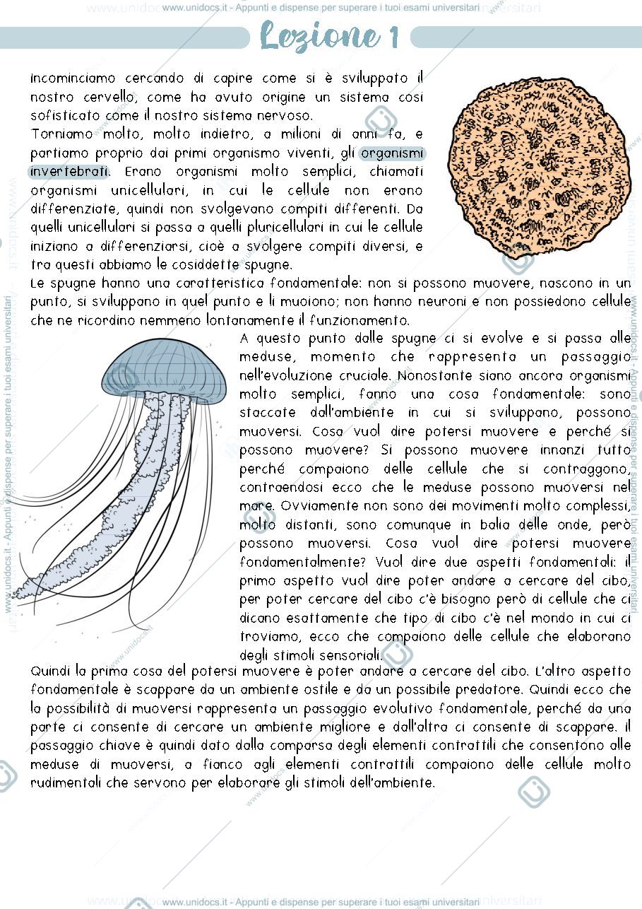 Anteprima pagina 1 — NEUROSCIENZE LEZIONE 1