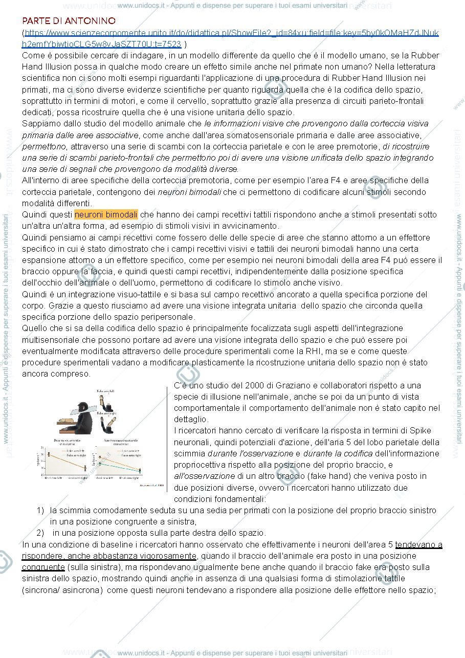 Anteprima pagina 2 — Sbobine 