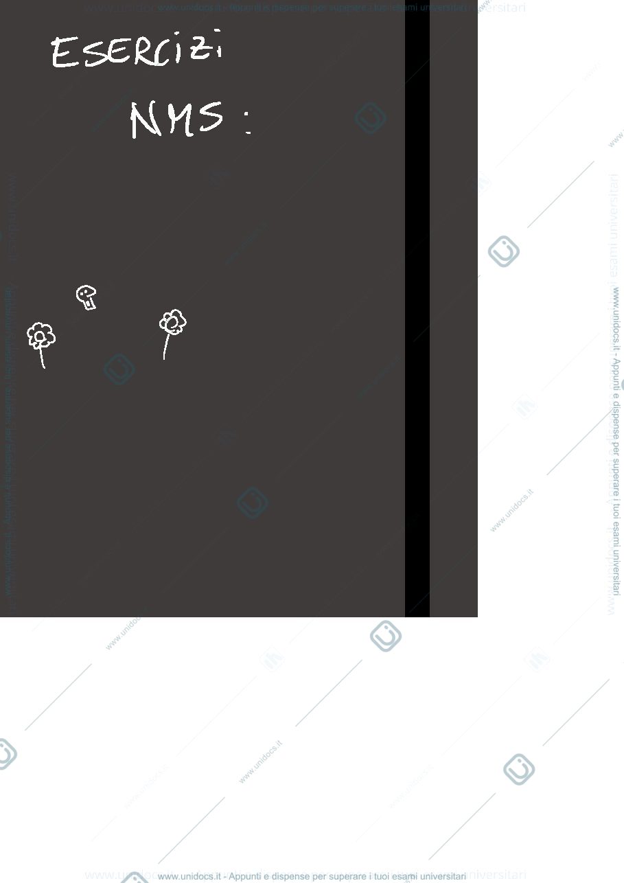 Anteprima pagina 1 — esercitazione nms A