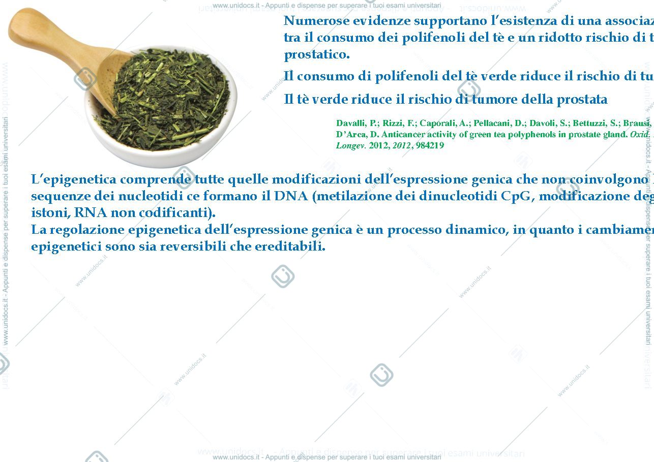 Anteprima pagina 3 — Té verde e carcinoma prostatico