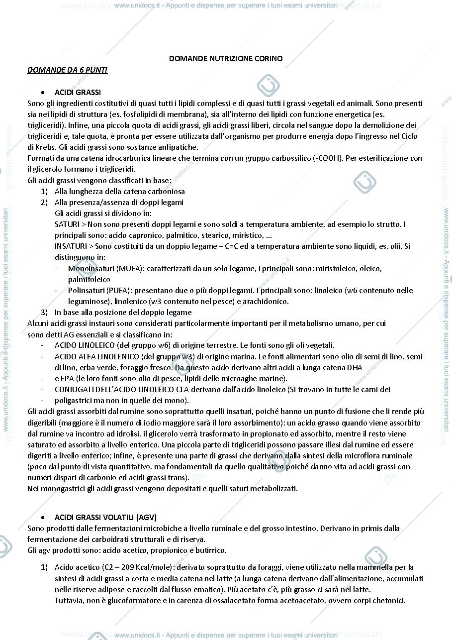 Anteprima pagina 1 — Domande Corino e cattaneo