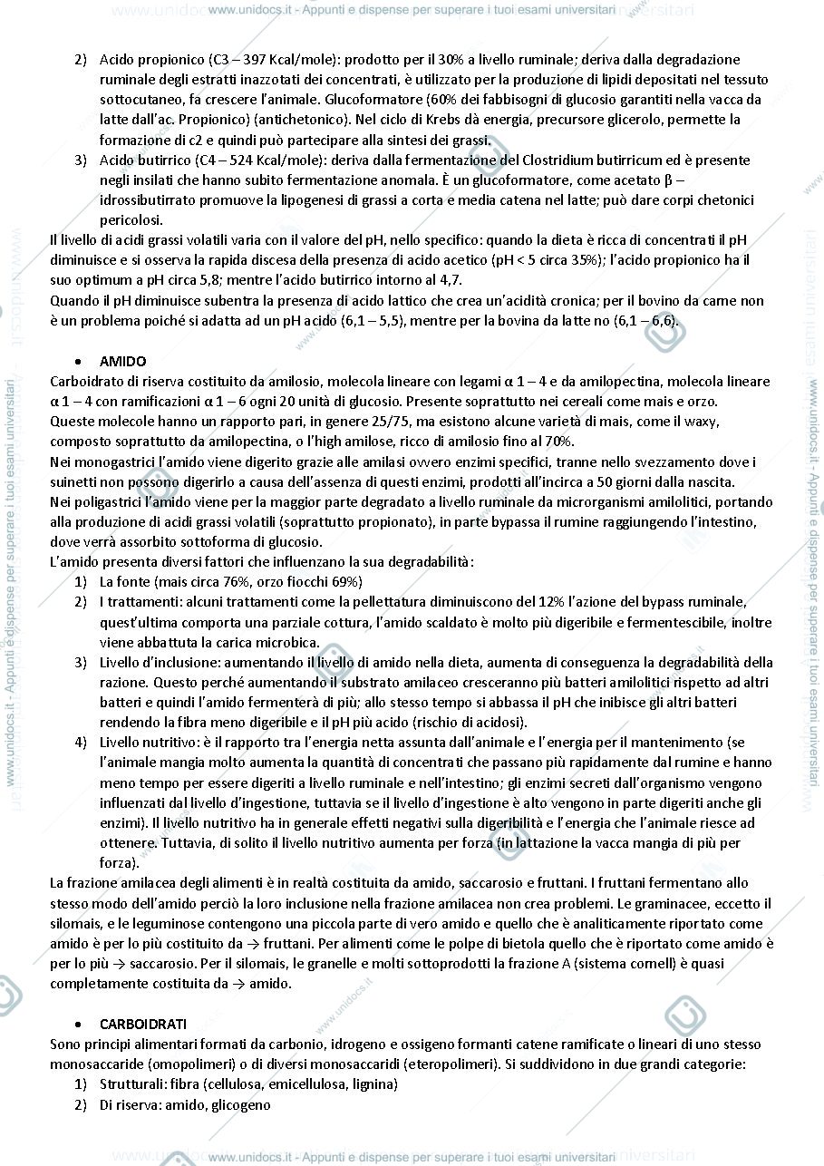 Anteprima pagina 2 — Domande Corino e cattaneo
