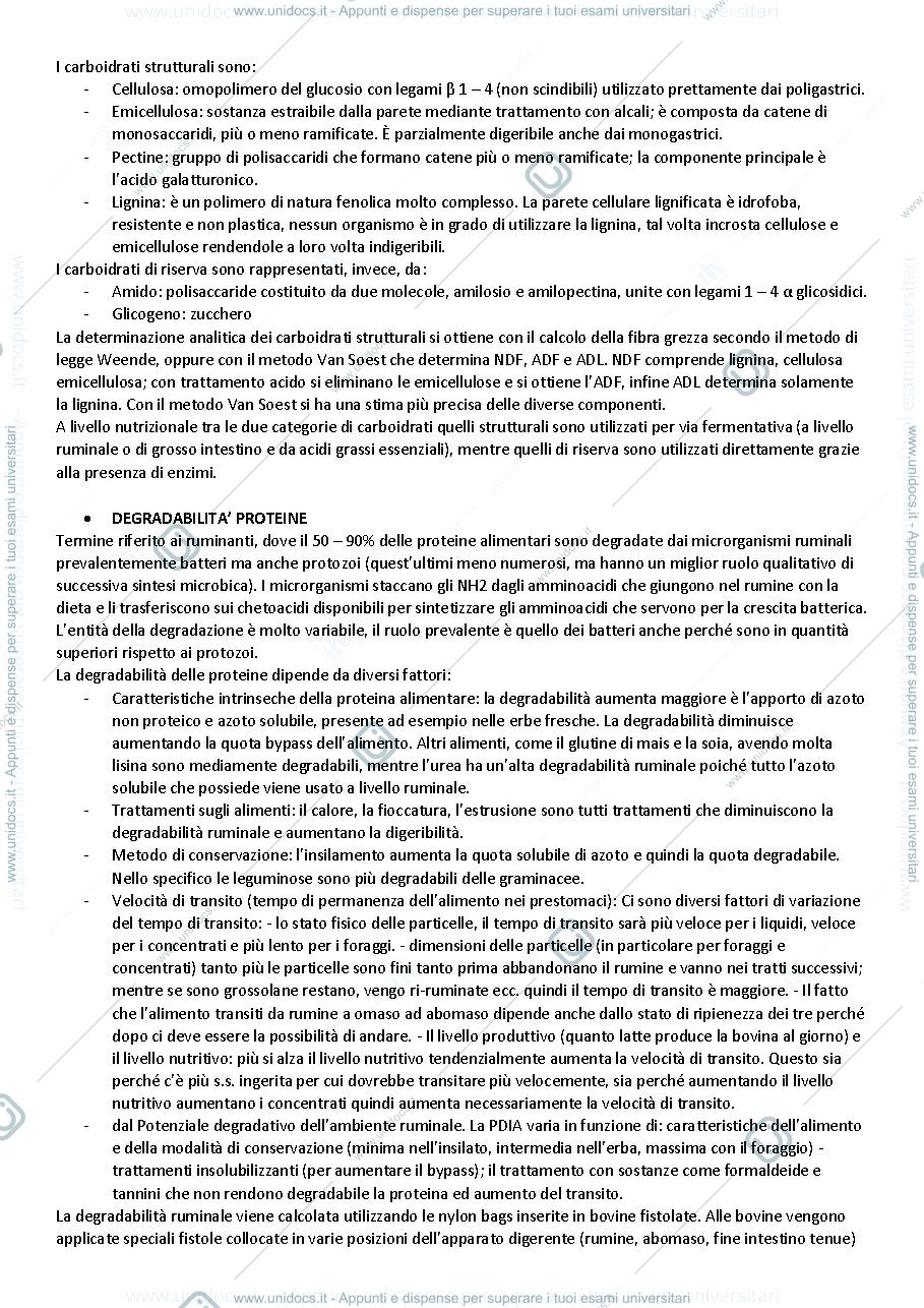 Anteprima pagina 3 — Domande Corino e cattaneo