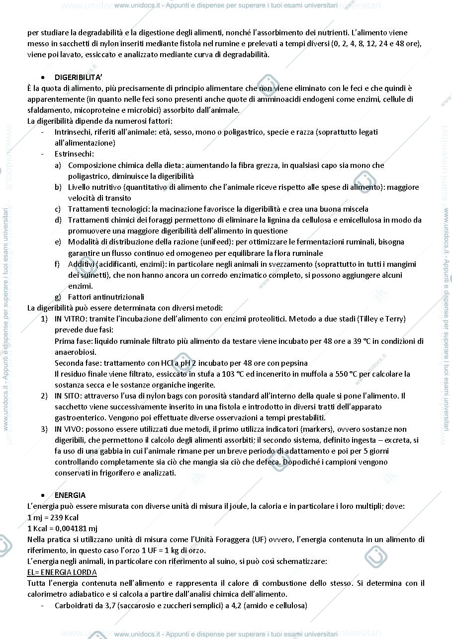 Anteprima pagina 4 — Domande Corino e cattaneo