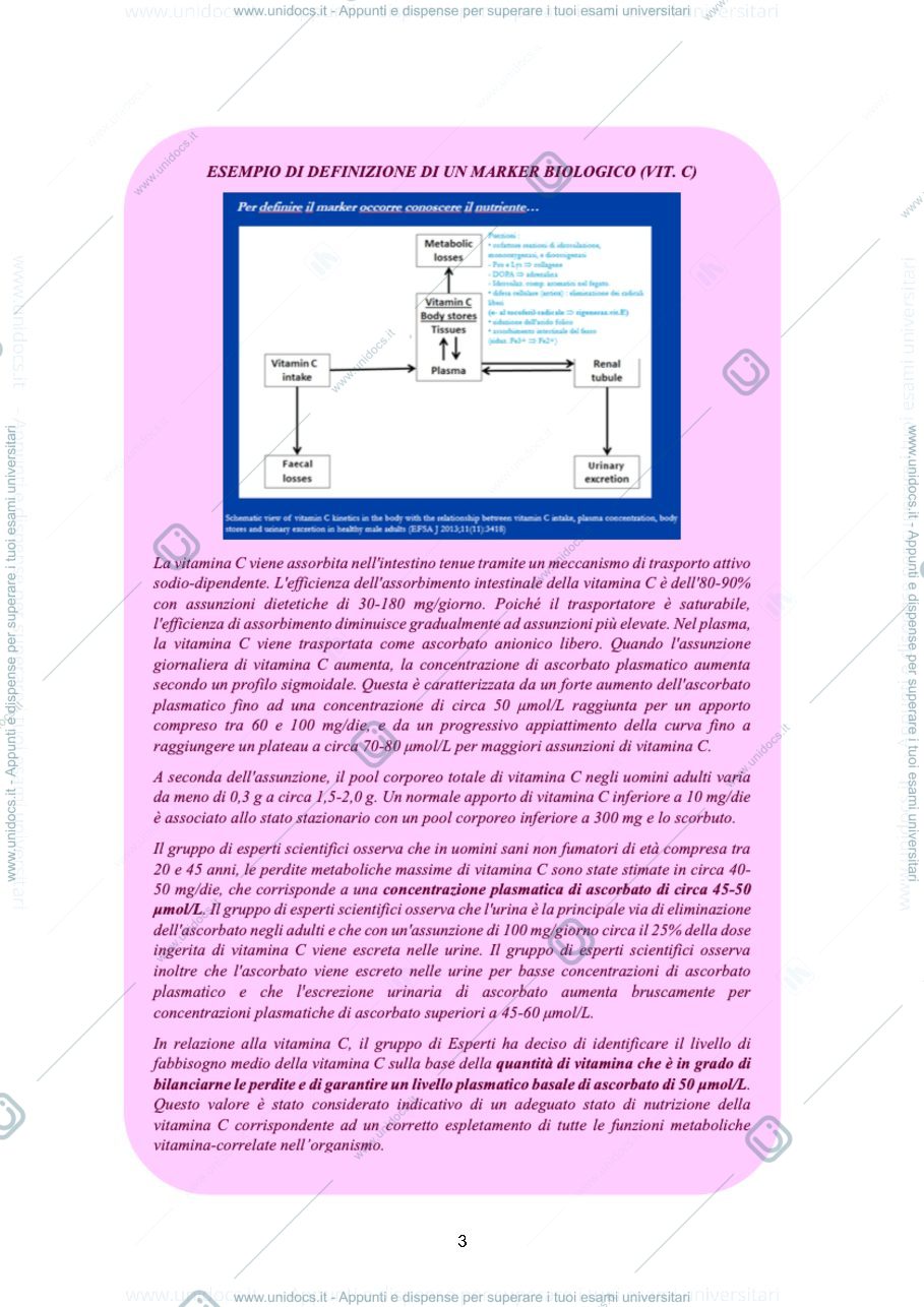 Anteprima pagina 4 — Nutrizione applicata - Modulo Leone