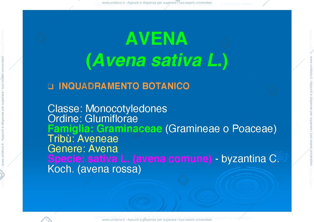 Anteprima pagina 1 — Avena