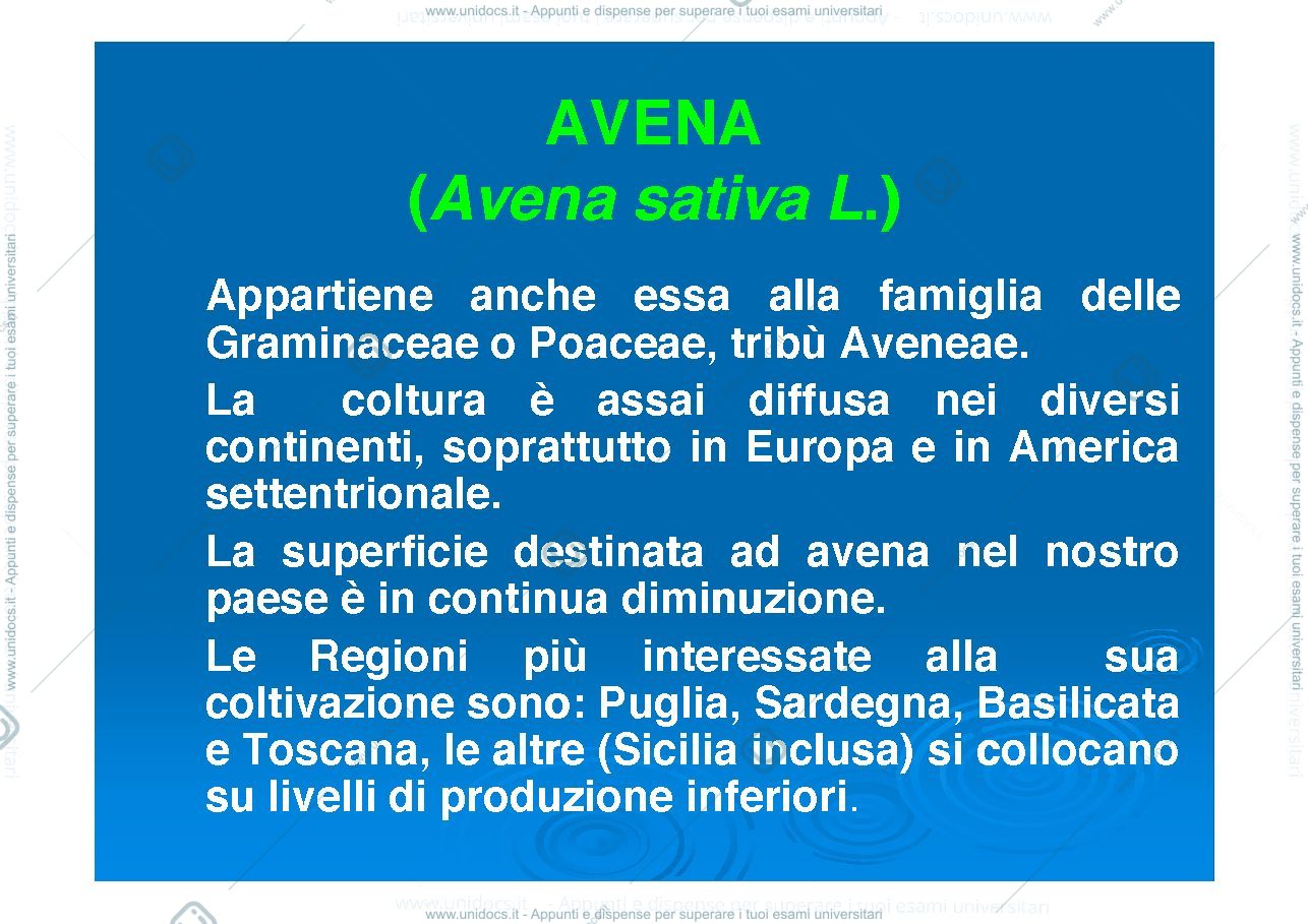 Anteprima pagina 2 — Avena
