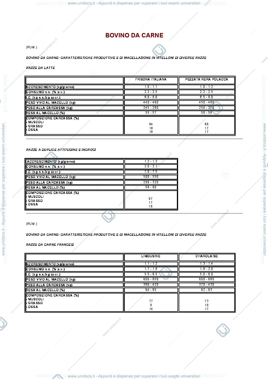 Anteprima pagina 1 — Alimentazione bovino da carne