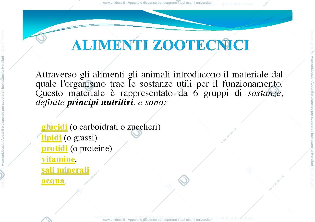 Anteprima pagina 1 — Definizioni di Mangimi