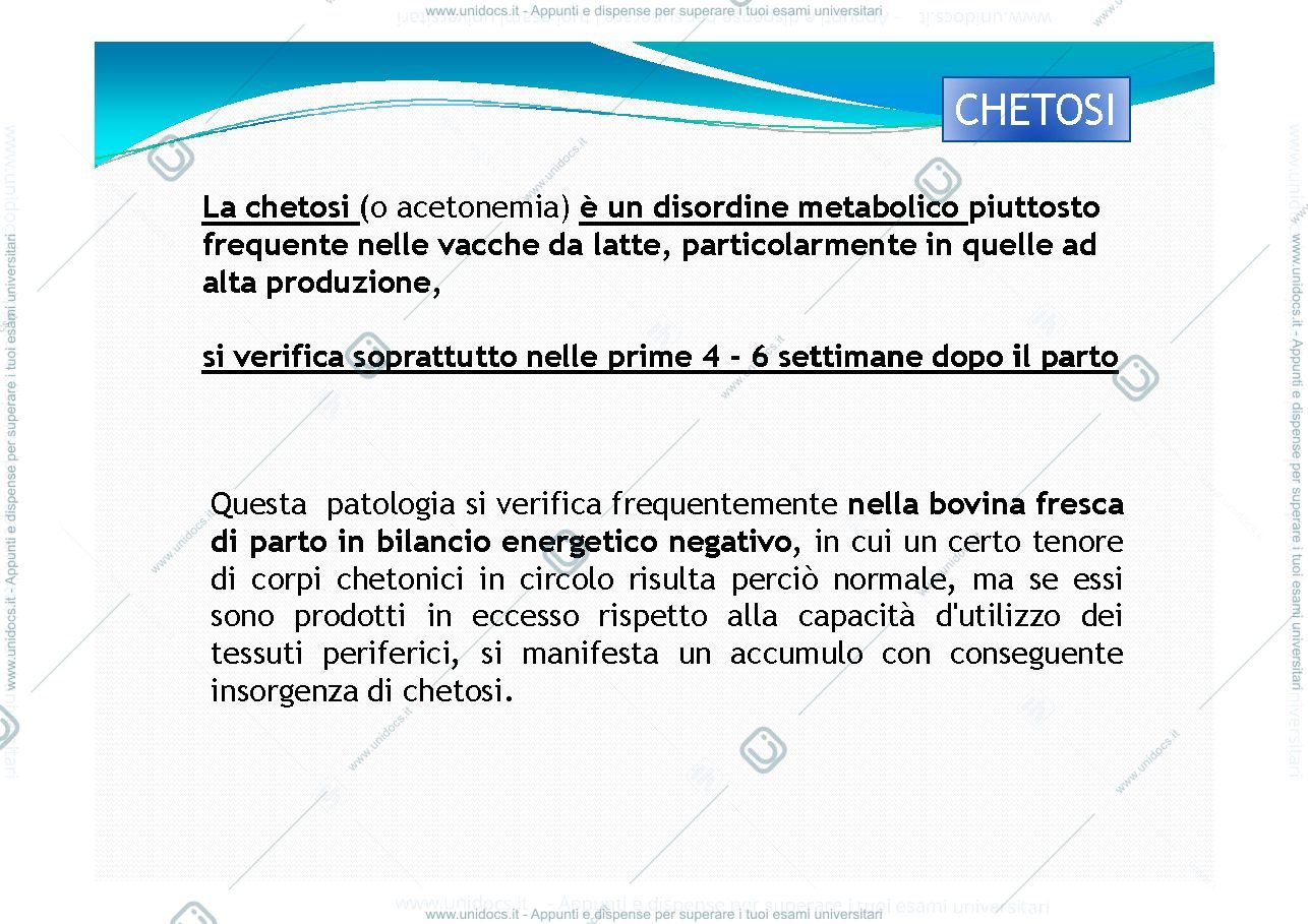Anteprima pagina 2 — Chetosi e Acidosi Ruminale