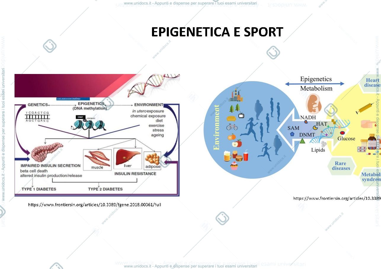Anteprima pagina 1 — epigenetica 