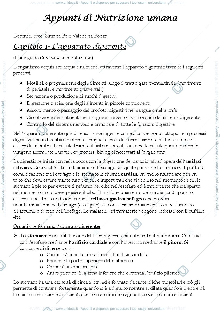 Anteprima pagina 1 — Appunti di nutrizione umana prof Simona Bo