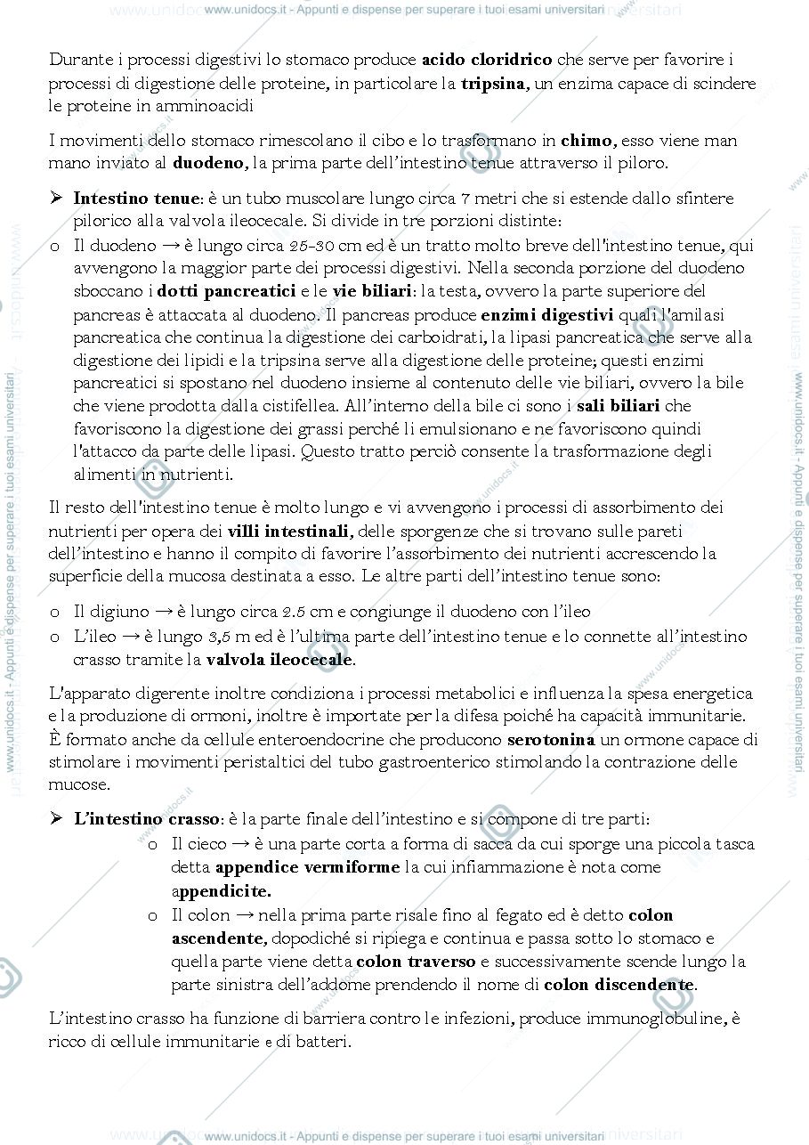 Anteprima pagina 2 — Appunti di nutrizione umana prof Simona Bo