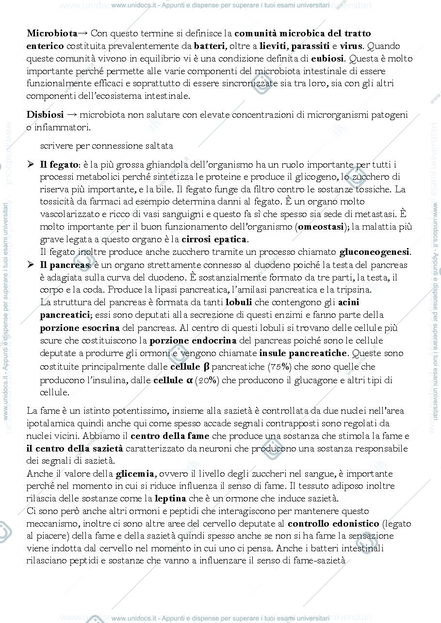 Anteprima pagina 3 — Appunti di nutrizione umana prof Simona Bo