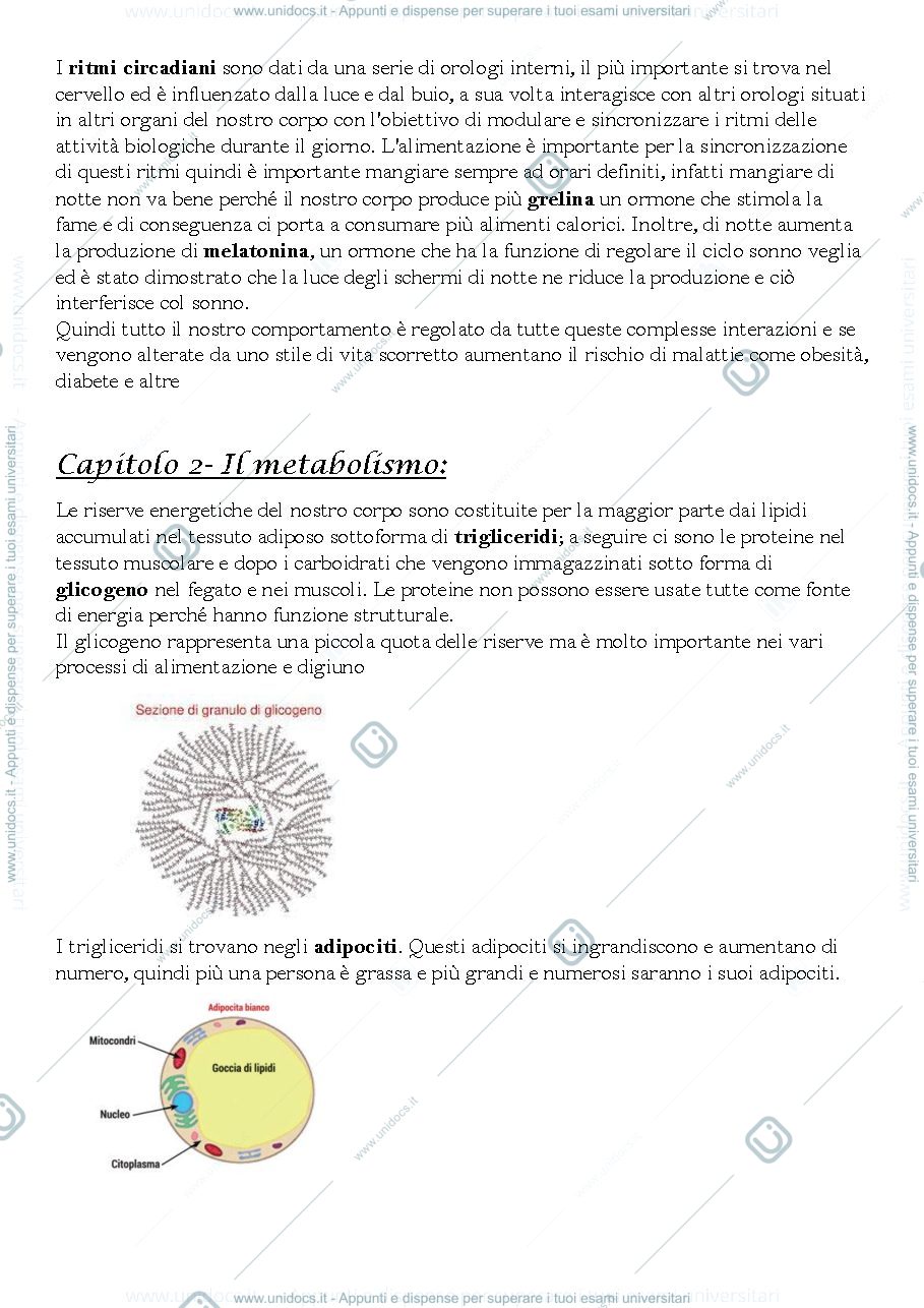 Anteprima pagina 4 — Appunti di nutrizione umana prof Simona Bo