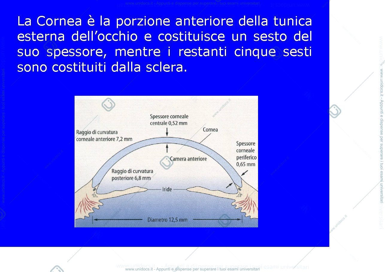Anteprima pagina 1 — Cornea