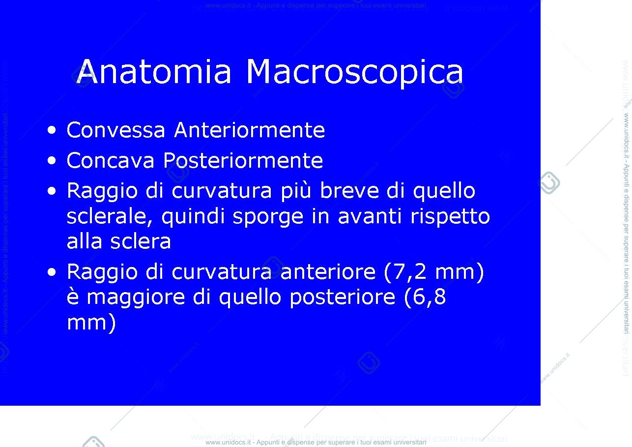 Anteprima pagina 2 — Cornea