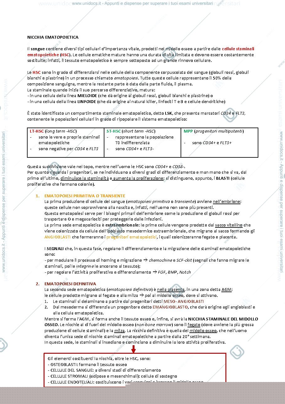 Anteprima pagina 1 — NICCHIA EMATOPOIETICA