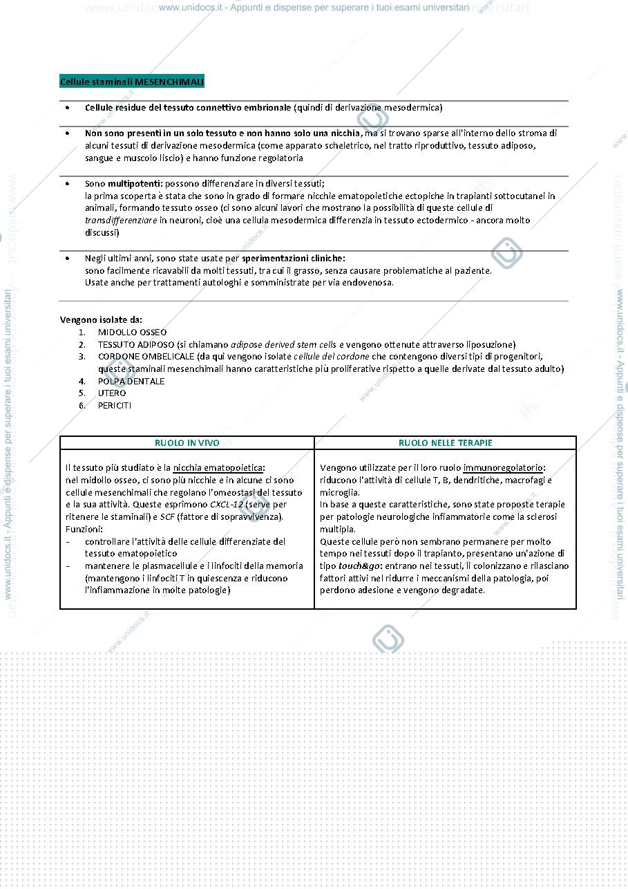 Anteprima pagina 1 — CELLULE STAMINALI MESENCHIMALI, EMBRIONALI, CANCER E INDOTTE PLURIPOTENTI