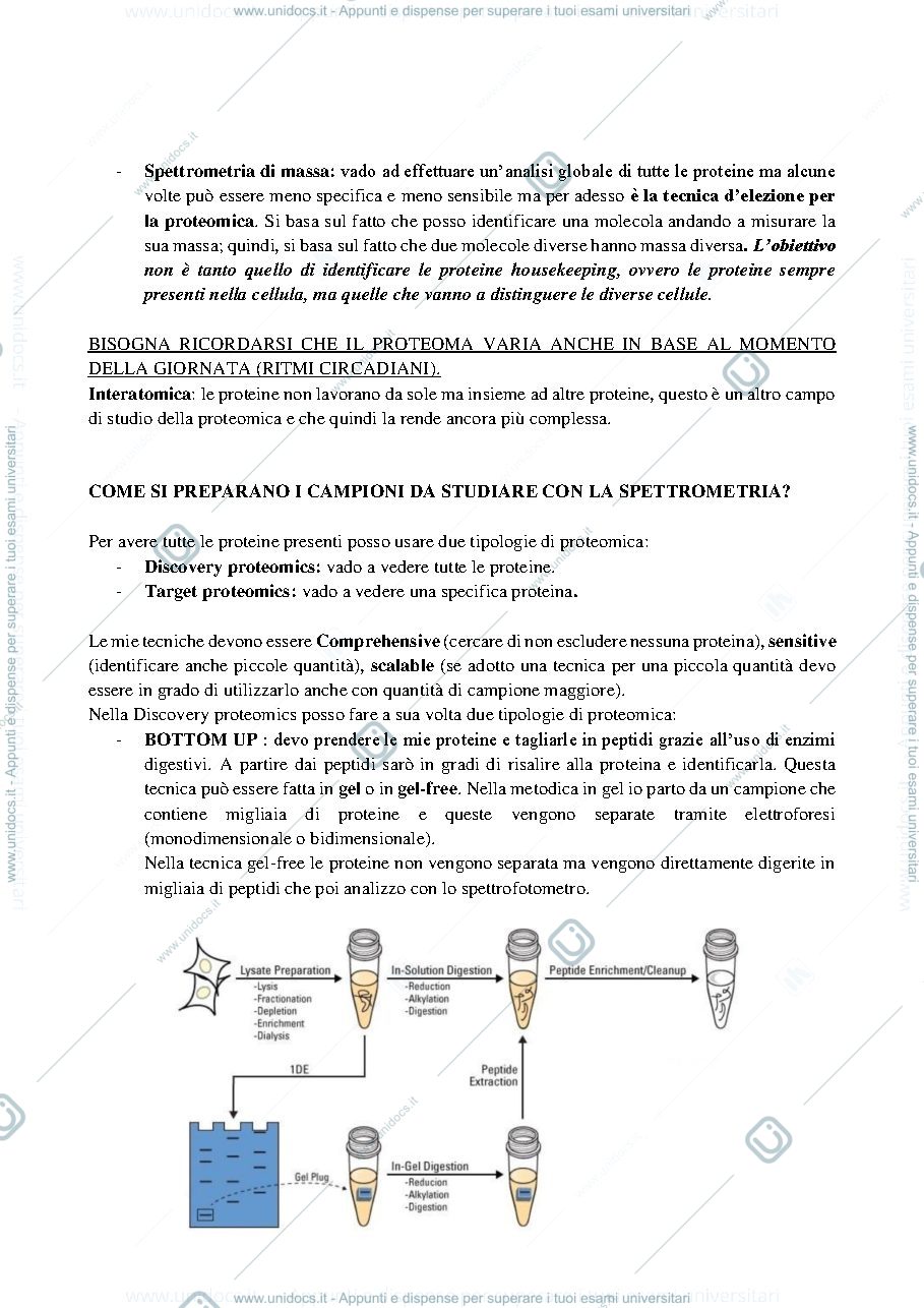 Anteprima pagina 2 — Proteomica 