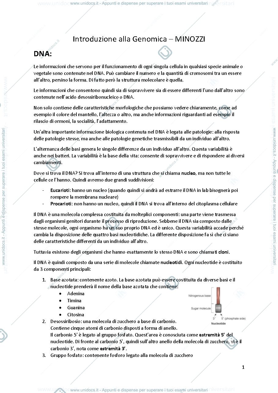 Anteprima pagina 1 — APPUNTI DI GENOMICA