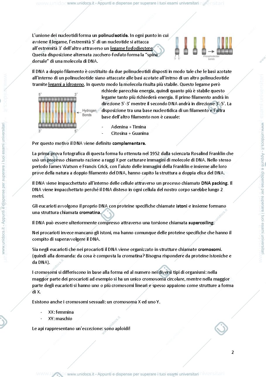 Anteprima pagina 2 — APPUNTI DI GENOMICA