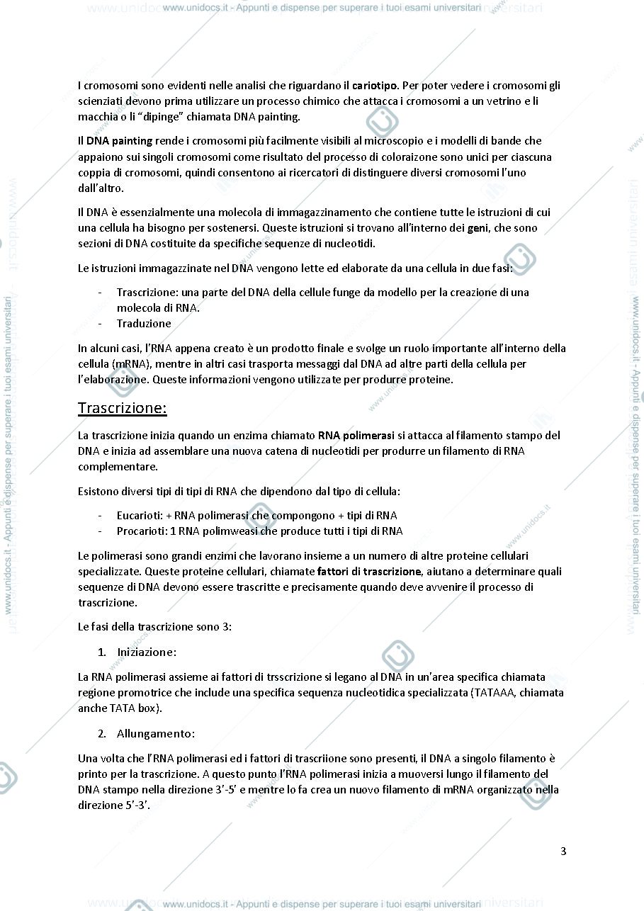 Anteprima pagina 3 — APPUNTI DI GENOMICA