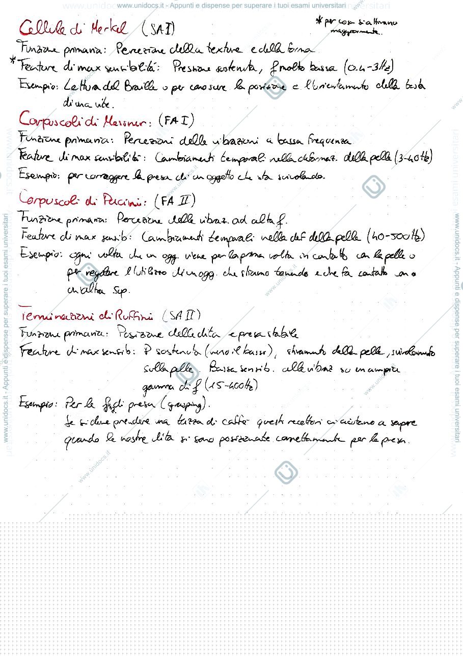 Anteprima pagina 3 — SENSI NATURALI E ARTIFICIALI