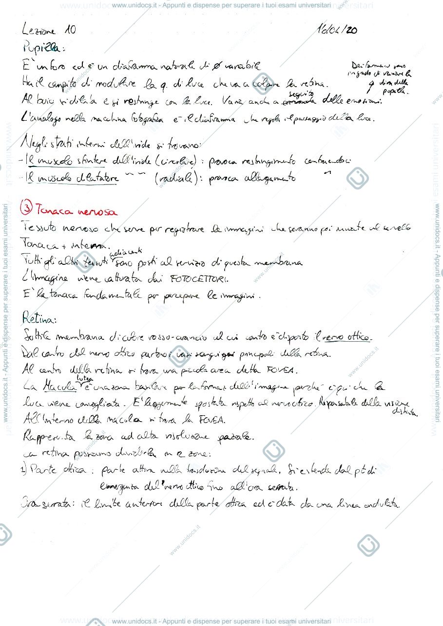 Anteprima pagina 1 — SENSI NAT E ART
