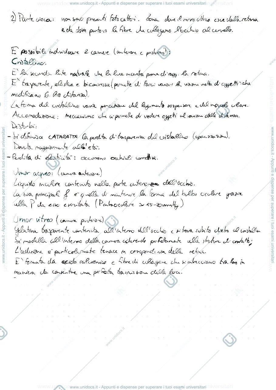 Anteprima pagina 2 — SENSI NAT E ART