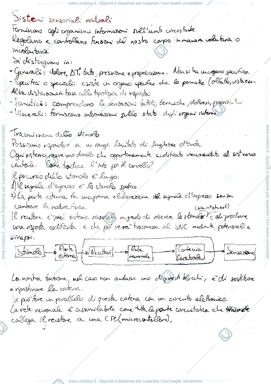 Anteprima pagina 2 — SENSI NATURALI E ARTIFICIALI