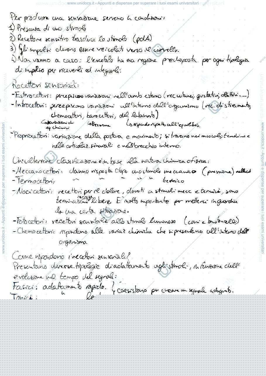 Anteprima pagina 3 — SENSI NATURALI E ARTIFICIALI