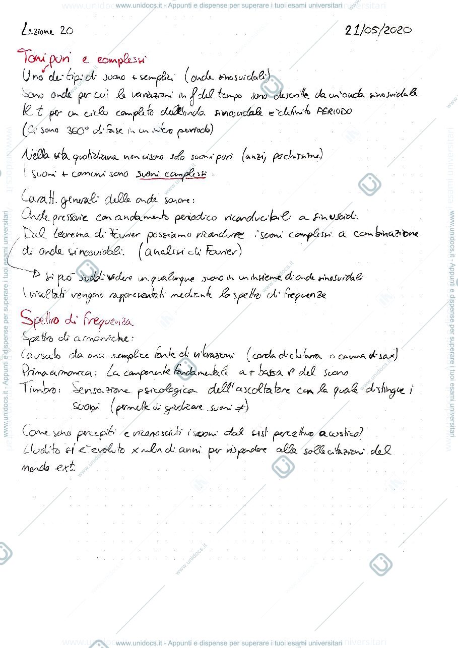 Anteprima pagina 1 — SENSI NAT E ART
