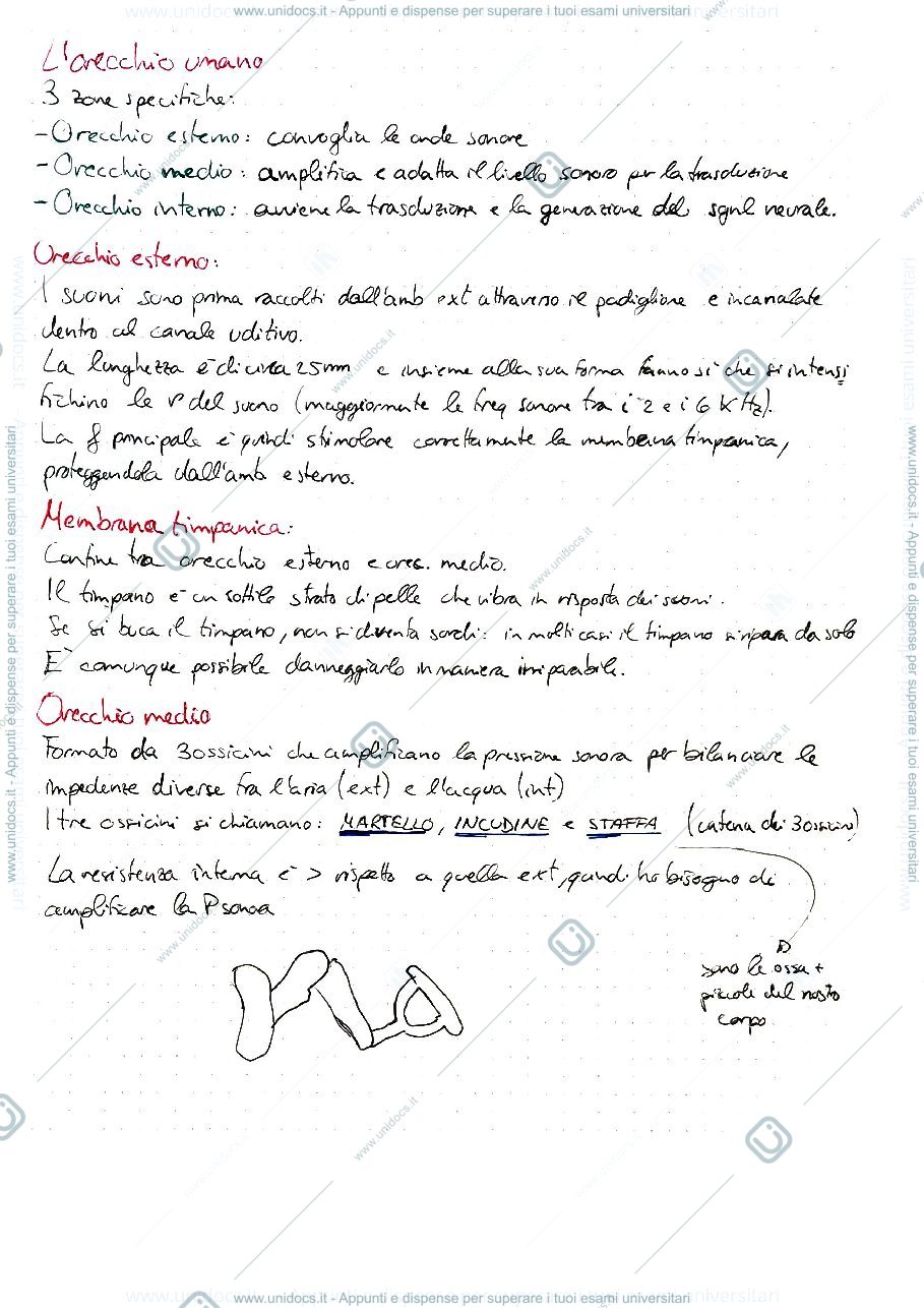 Anteprima pagina 2 — SENSI NAT E ART