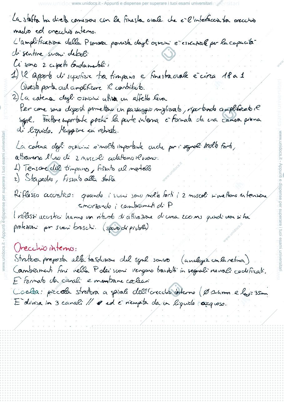 Anteprima pagina 3 — SENSI NAT E ART