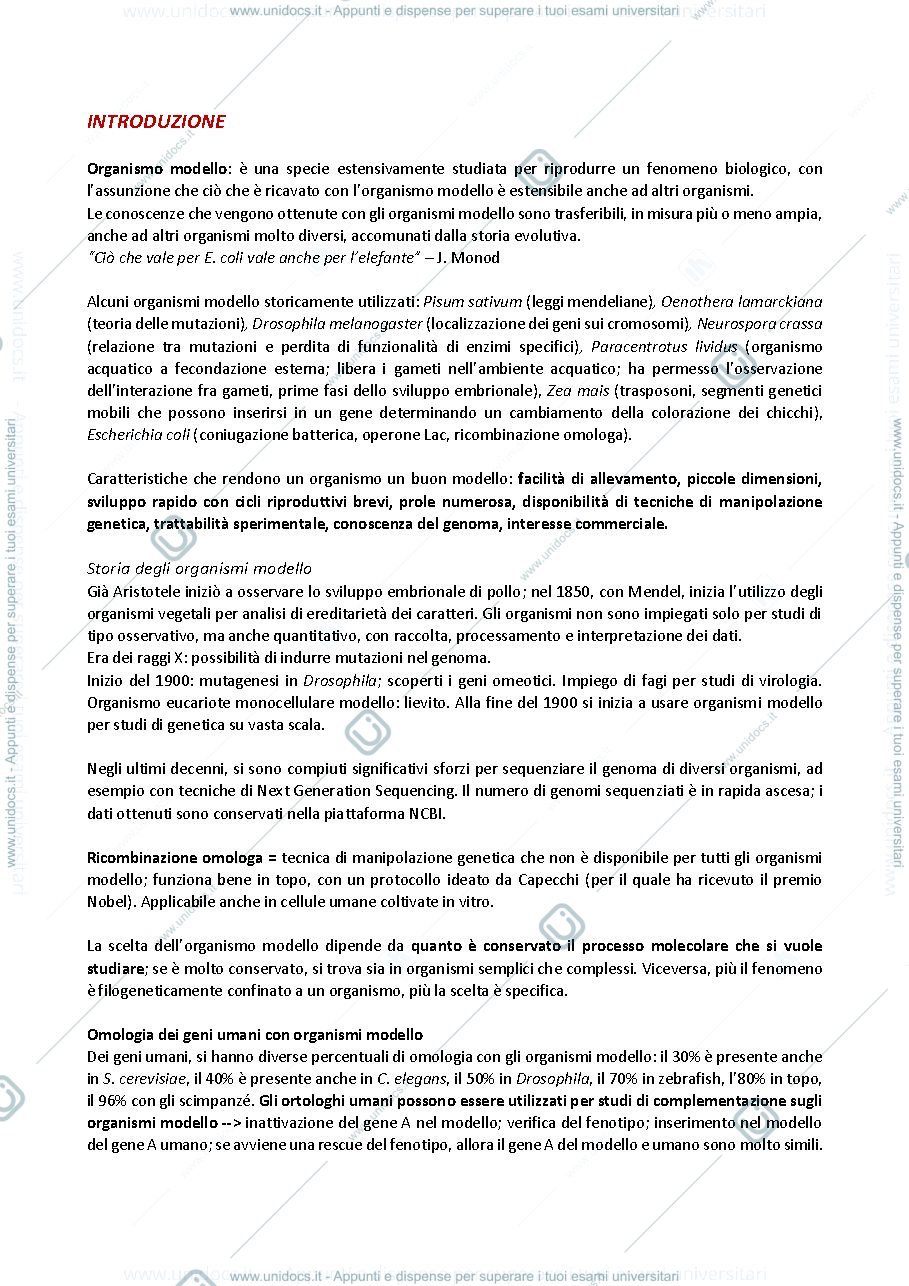 Anteprima pagina 1 — Organismi modello in Biologia