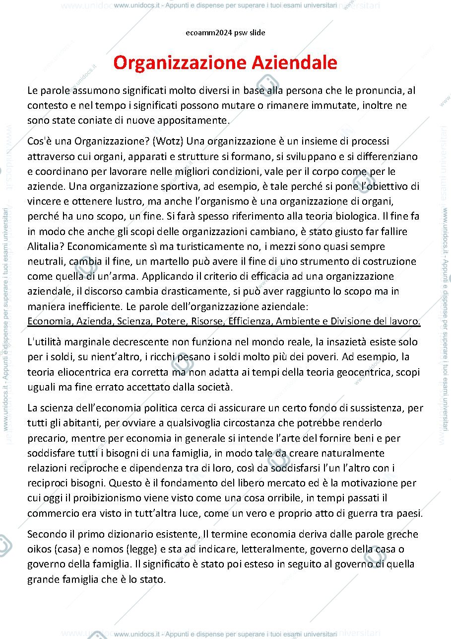 Anteprima pagina 1 — Appunti Organizzazione Aziendale Li-Z