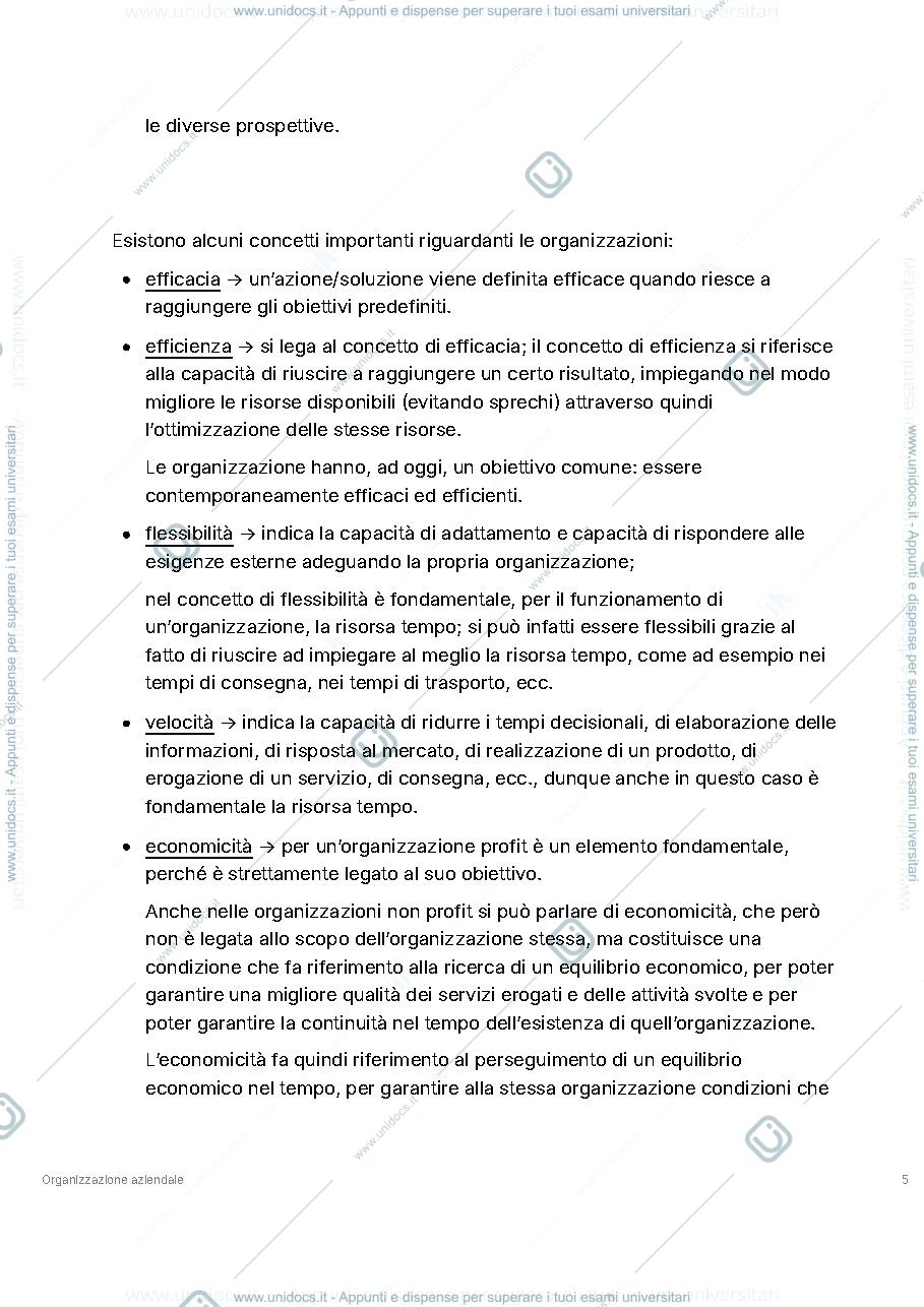 Anteprima pagina 5 — Appunti organizzazione aziendale