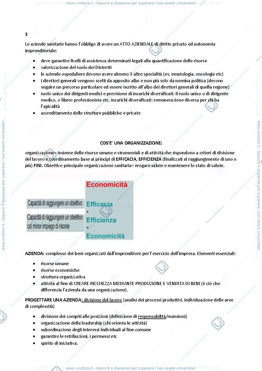 Anteprima pagina 2 — Organizzazione Aziendale (Ontari)
