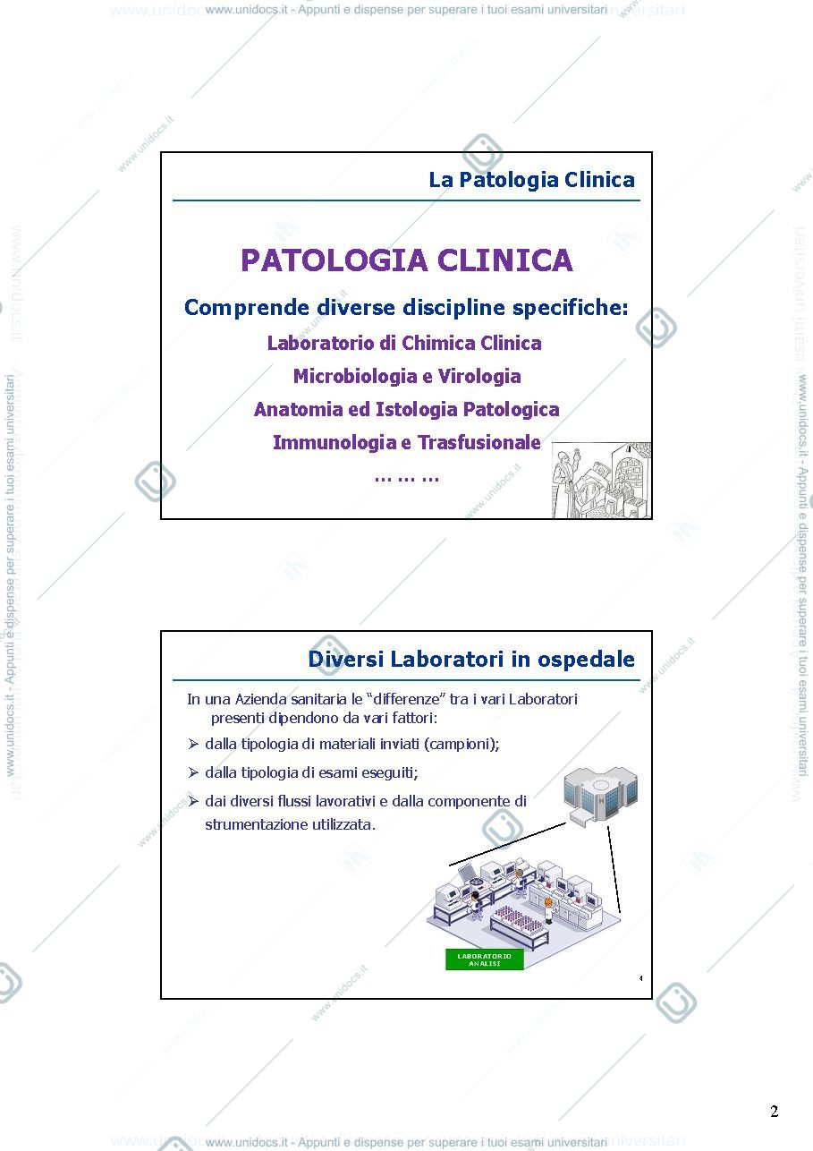 Anteprima pagina 2 — settori di laboratorio